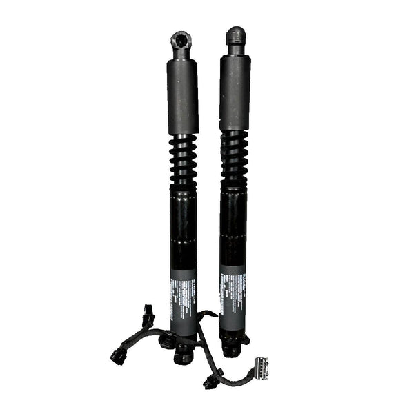 16-23 Tesla Model X Rear Right Left Falcon Lift Gas Shock Strut OEM, 106344100F
