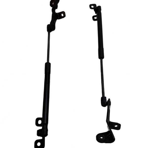 2017-2023 Tesla Model 3 Front Left & Right Bonnet Hood Strut SET 1091472-00-B