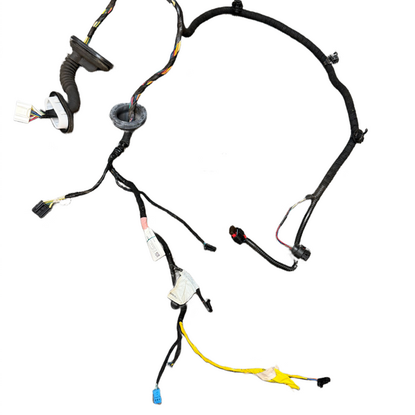 2017-2023 Tesla Model 3 Rear Left Driver Door Harness Wiring 1067965-90-D