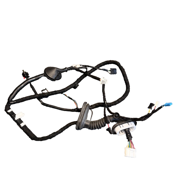 2017-2023 Tesla Model 3 Rear Left Door Wiring Harness 2067965-00-B