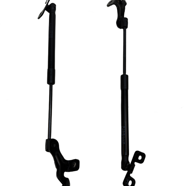 2017-2023 Tesla Model 3 Front Left & Right Bonnet Hood Strut SET 1091472-00-B