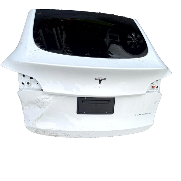 2020 - 2024 TESLA MODEL Y LIFTGATE HATCH TRUNK LID TAIL GATE OEM, 1493410-E0-A