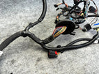 ♦️2012 - 2020 TESLA MODEL S FRONT RIGHT DOOR WIRING HARNESS OEM, 1004424-00-P