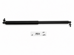 2012-2025 Tesla Model S Rear Left Driver Tailgate Trunk Strut Shock 6006611-00-B