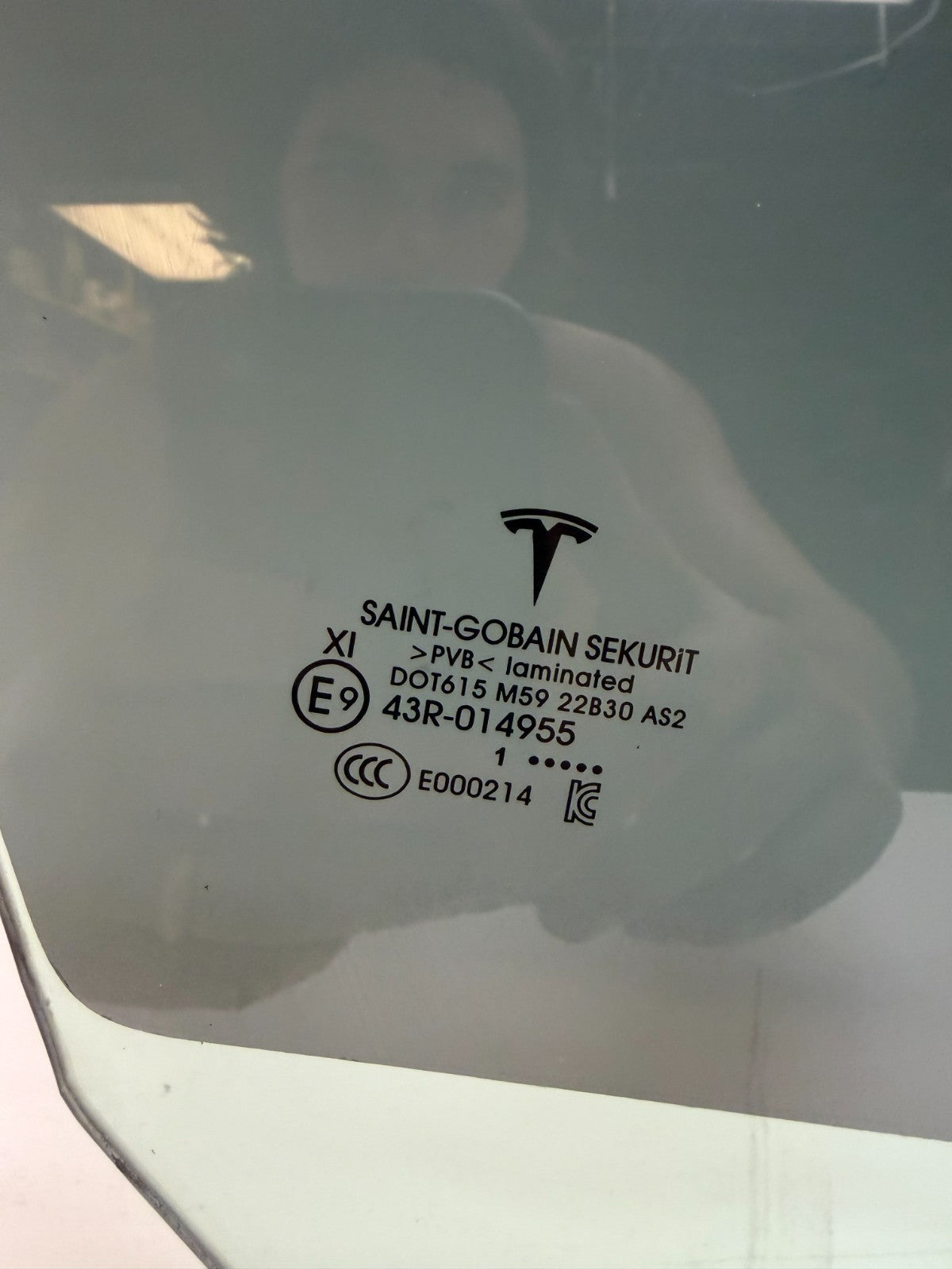 2020-2024 Tesla Model 3 M3 Front Passenger Side Door Window Glass Right RH