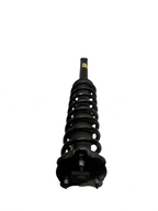 2012-20 Model S Rear Left Right Shock Strut Absorber & Coil Spring 1015620-01-C