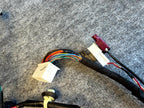 ♦️17-23 TESLA MODEL 3 FRONT RIGHT SIDE DOOR WIRING HARNESS OEM, 1067963-00-D
