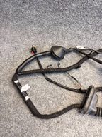 2017-2023 Tesla Model 3 Rear Left Door Wiring Harness 2067965-00-B