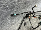 ♦️16-20 TESLA MODEL S REAR LEFT DOOR WIRING HARNESS WIRE LOOM OEM, 1004425-00-Q