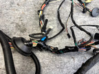 ♦️2012 - 2020 TESLA MODEL S FRONT RIGHT DOOR WIRING HARNESS OEM, 1004424-00-P