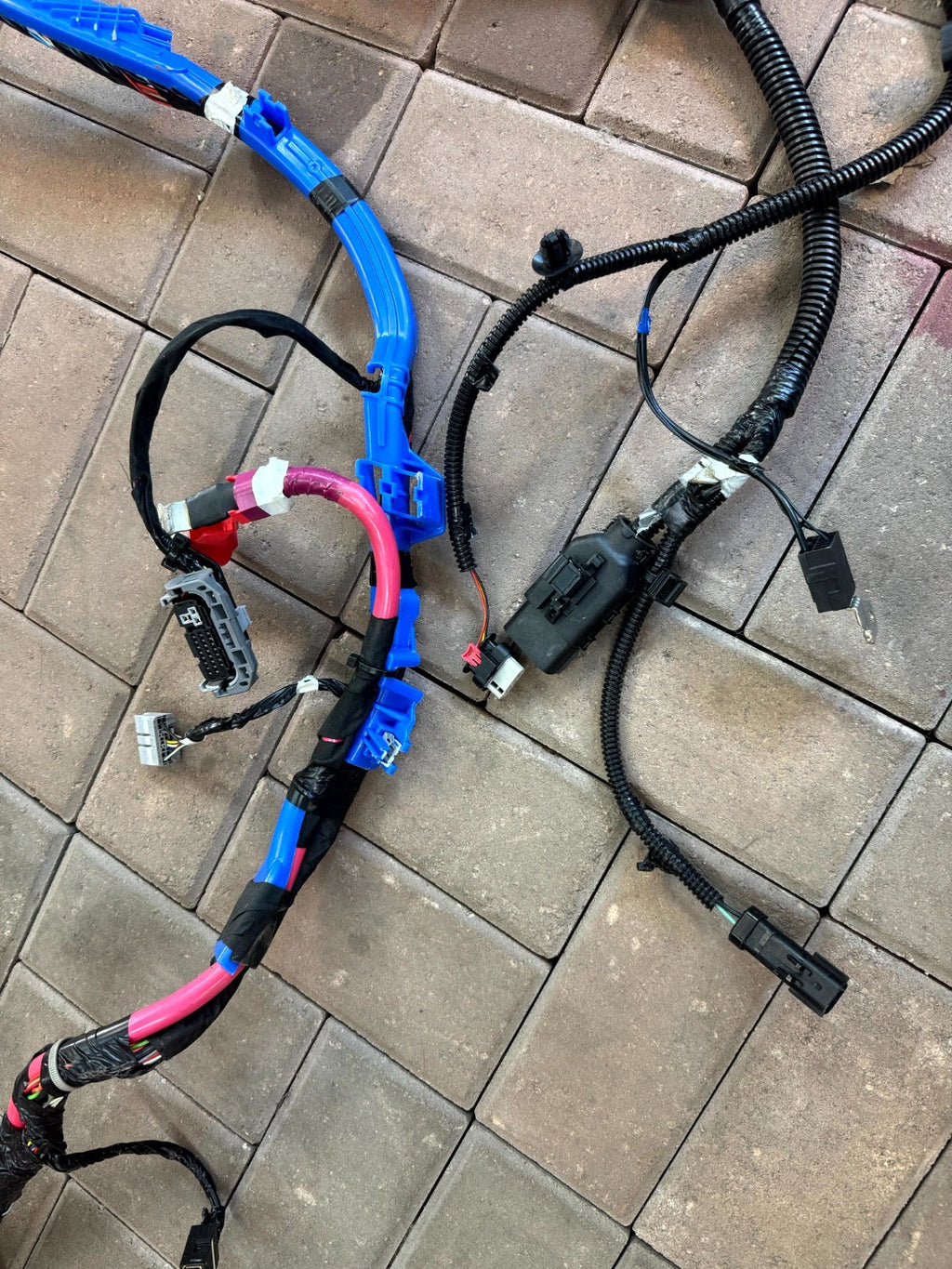 2020-2024 TESLA MODEL Y RIGHT PASSENGER SIDE BODY WIRE HARNESS OEM, 3489042-01-D
