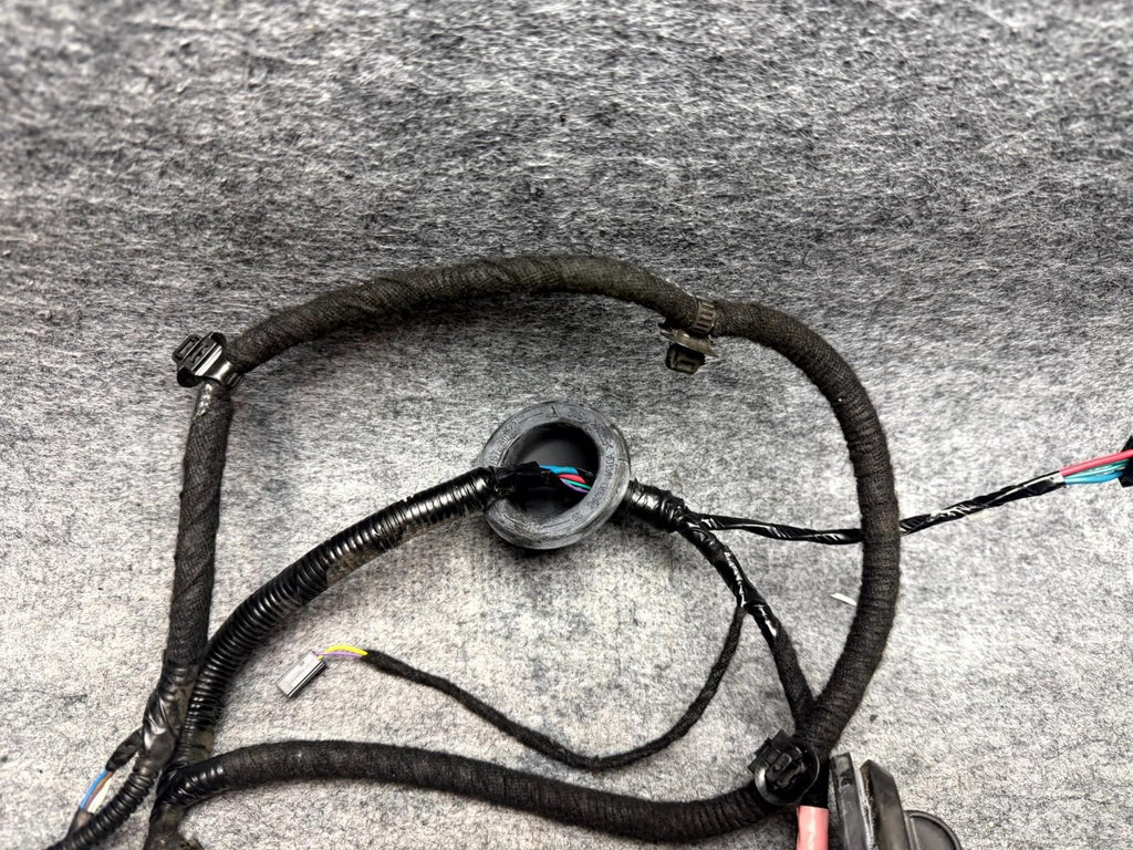 ♦️2017-2023 TESLA MODEL 3 REAR RIGHT SIDE DOOR WIRING HARNESS OEM, 2067966-00-B