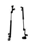 2017-2023 Tesla Model 3 Front Left & Right Bonnet Hood Strut SET 1091472-00-B