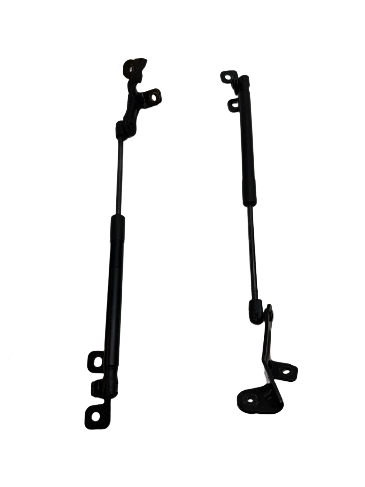 2017-2023 Tesla Model 3 Front Left & Right Bonnet Hood Strut SET 1091472-00-B