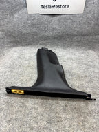 2017 - 2023 TESLA MODEL 3 LEFT SIDE LOWER B PILLAR TRIM COVER OEM, 1086296-00