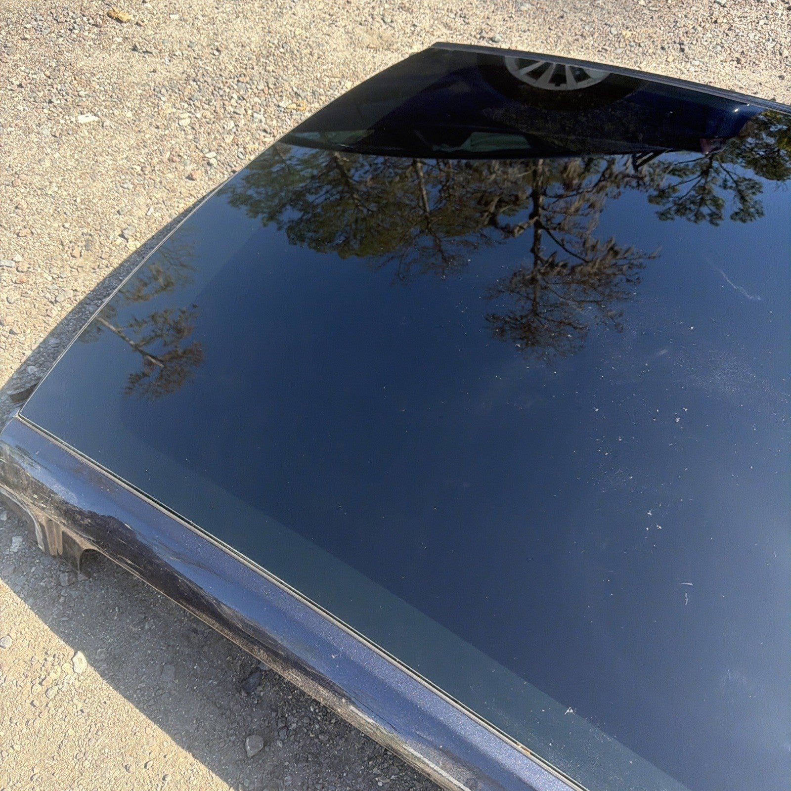 2020-2024 Tesla Model Y  Panoramic Top Roof Sunroof Window Glass