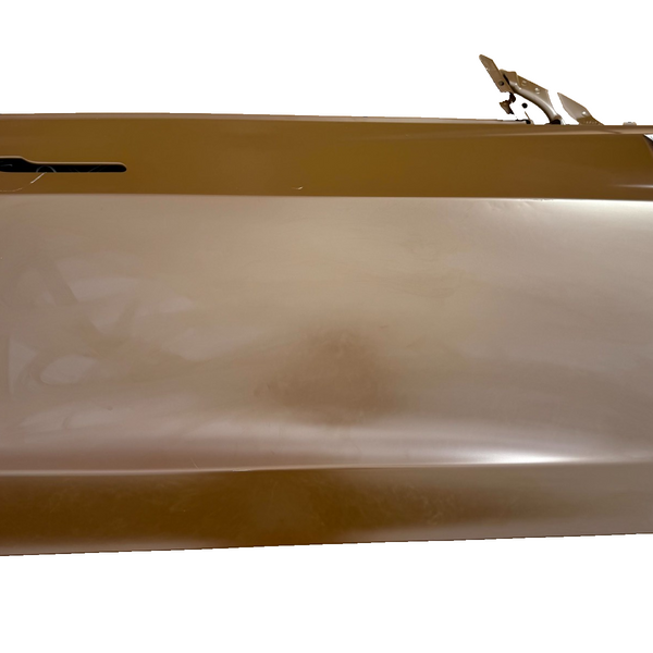 2024-2025 TESLA MODEL 3 FRONT RIGHT PASSENGER SIDE DOOR SHELL OEM, 1751846-E0-A