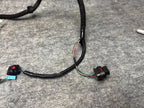 ♦️2017 - 2023 TESLA MODEL 3 REAR LEFT DOOR WIRE WIRING HARNESS OEM, 2067965-00-A