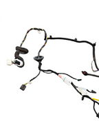 2017-2023 Tesla Model 3 Rear Left Driver Door Harness Wiring 1067965-90-D