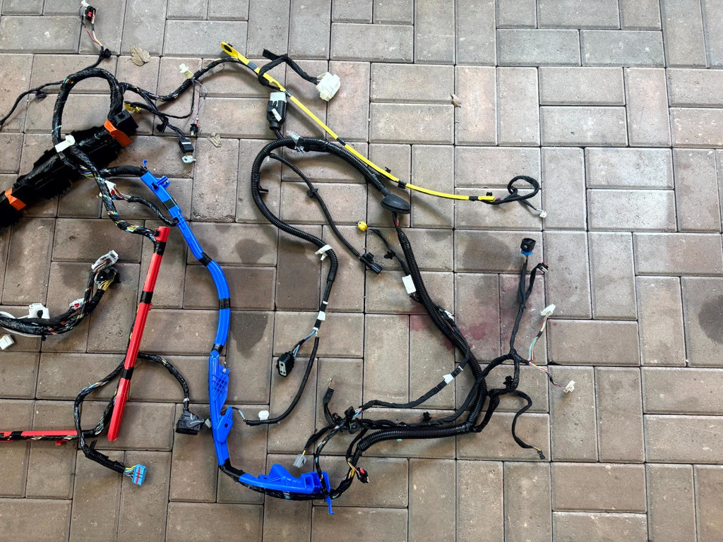 2020 - 2024 TESLA MODEL Y LEFT DRIVER SIDE BODY WIRE HARNESS OEM, 3489041-00-D