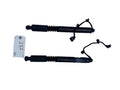 ♦️16-25 TESLA MODEL X REAR RIGHT FALCON DOOR LIFT CYLINDER STRUT OEM, 106344100C