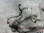 2016-2020 Tesla Model X Rear Left Side Lower Door Wiring Harness OEM, 203244100A