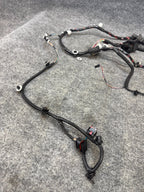 2017 - 2023 TESLA MODEL 3 FRONT RIGHT SIDE DOOR WIRING HARNESS OEM, 1067963-00-D