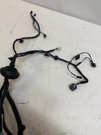 2012-20 Tesla Model S Rear Left Door Wiring Harness Wire Loom 1004425-00-M