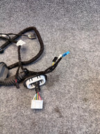 2017-2023 Tesla Model 3 Rear Left Door Wiring Harness 2067965-00-B