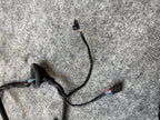 2017 - 2023 TESLA MODEL 3 REAR RIGHT SIDE DOOR WIRE HARNESS OEM, 2067966-00-B