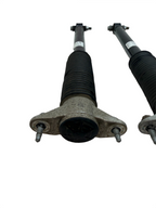 2017-23 Tesla Model 3 Rear Left & Right Shock Strut Absorber Damper 1044461-02-E