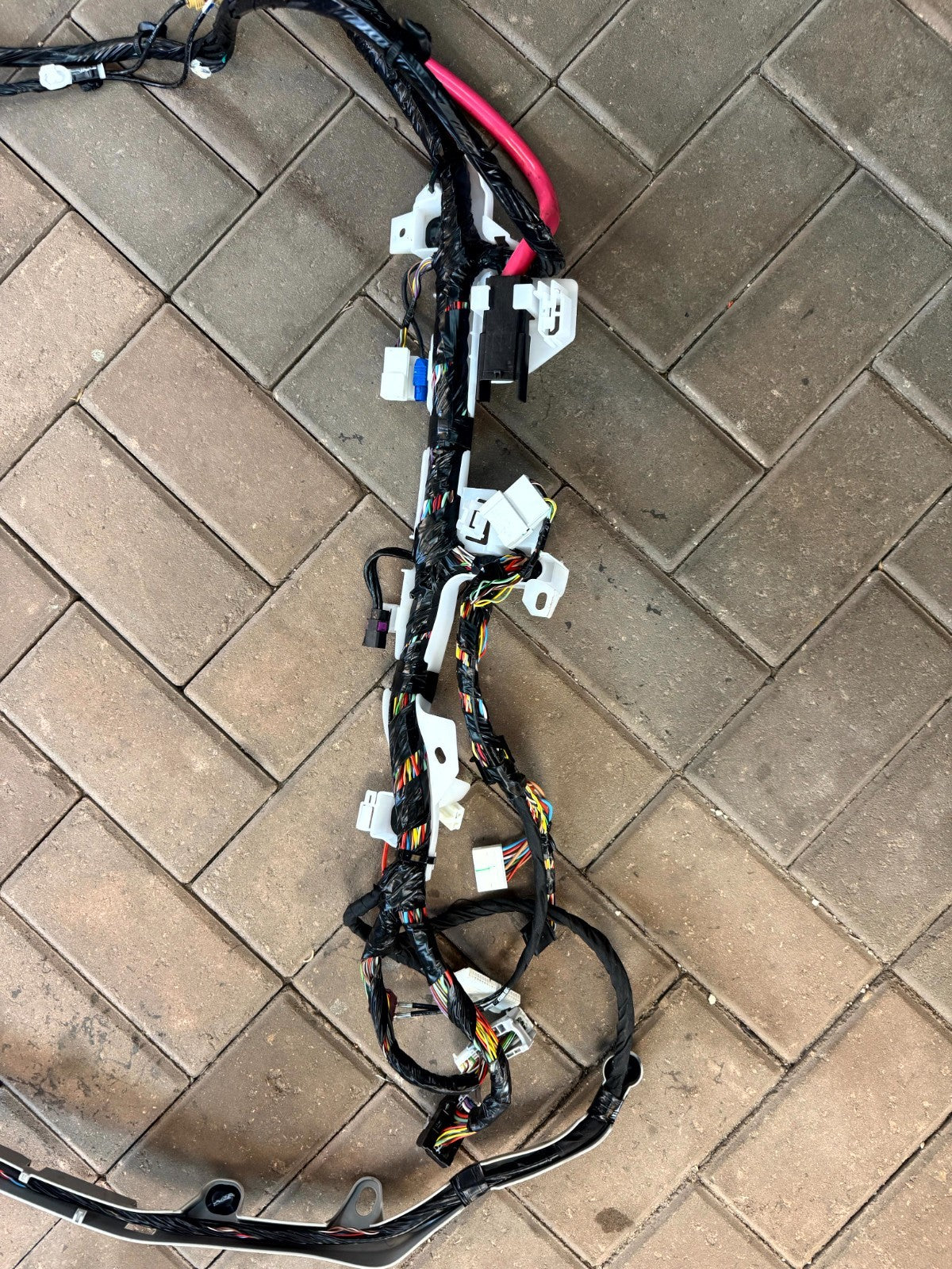 2020-2024 TESLA MODEL Y RIGHT PASSENGER SIDE BODY WIRE HARNESS OEM, 3489042-01-D