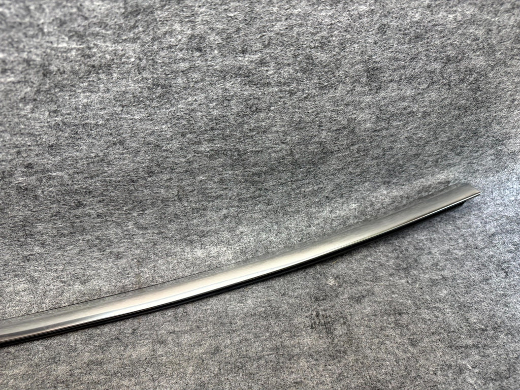 ♦️17–23 TESLA MODEL 3 REAR RIGHT SIDE DOOR MOLDING TRIM STRIP OEM, 1080748-00-E