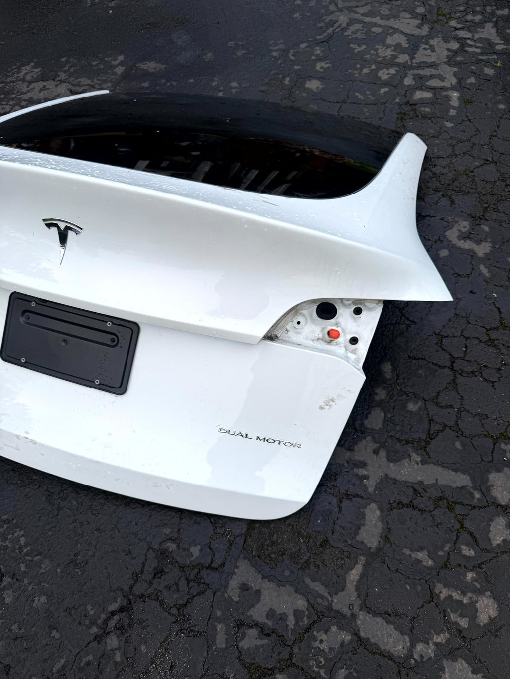 ♦️2020 - 2024 TESLA MODEL Y LIFTGATE HATCH TRUNK LID TAIL GATE OEM, 1493410-E0-A