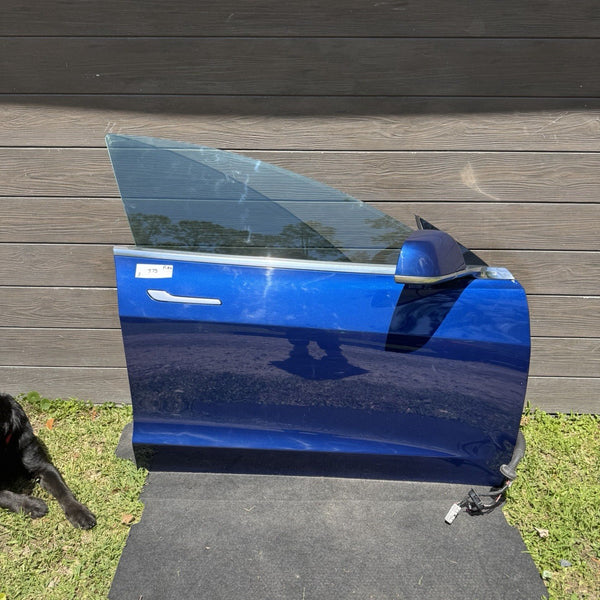 2018-2023 Tesla Model 3 Front Passenger Side Door Shell Panel Right Blue PPSB