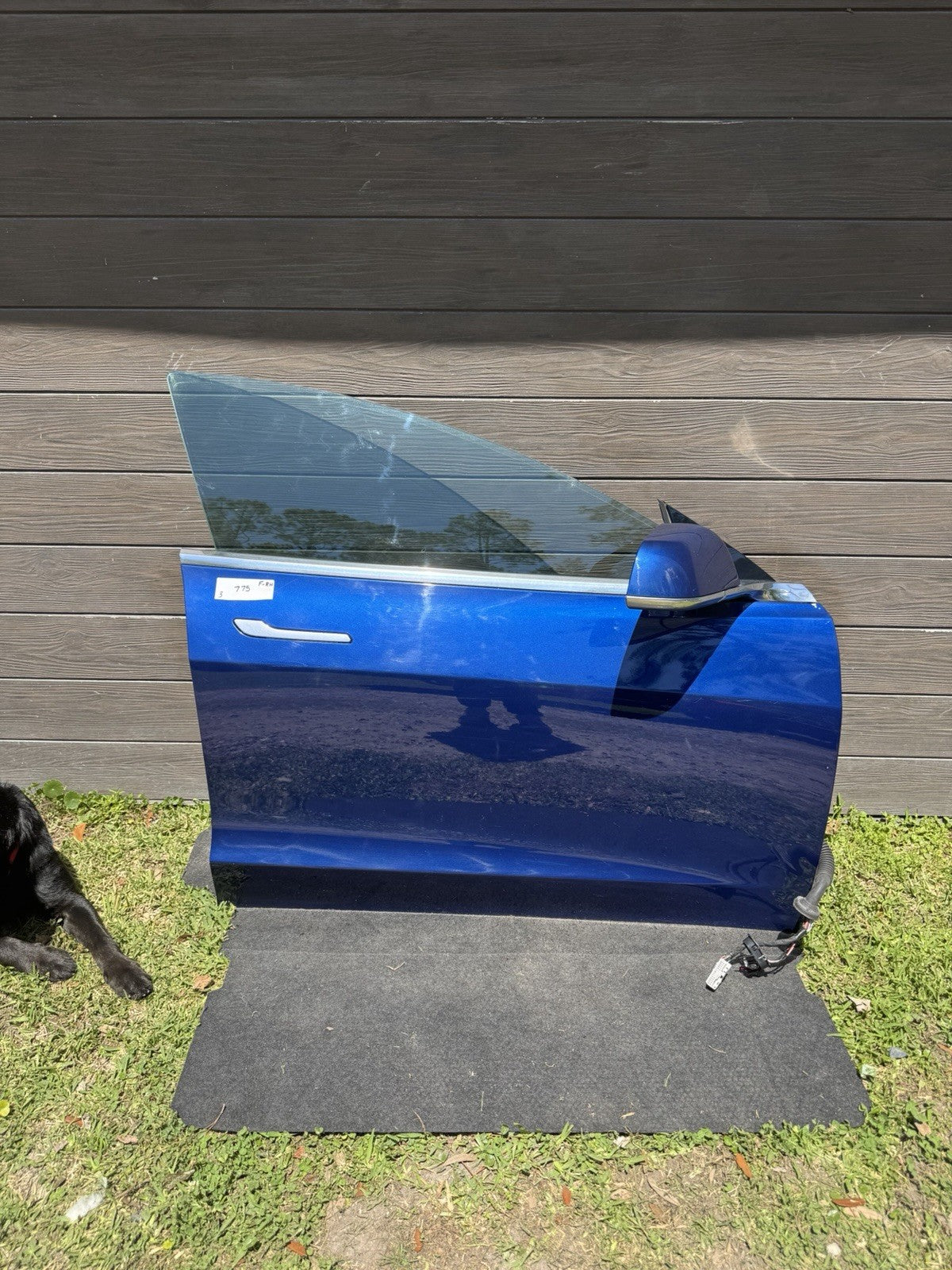 2018-2023 Tesla Model 3 Front Passenger Side Door Shell Panel Right Blue PPSB
