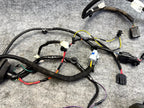 ♦️2012-2020 TESLA MODEL S REAR RIGHT DOOR WIRING HARNESS CABLE OEM, 1004426-00-Q
