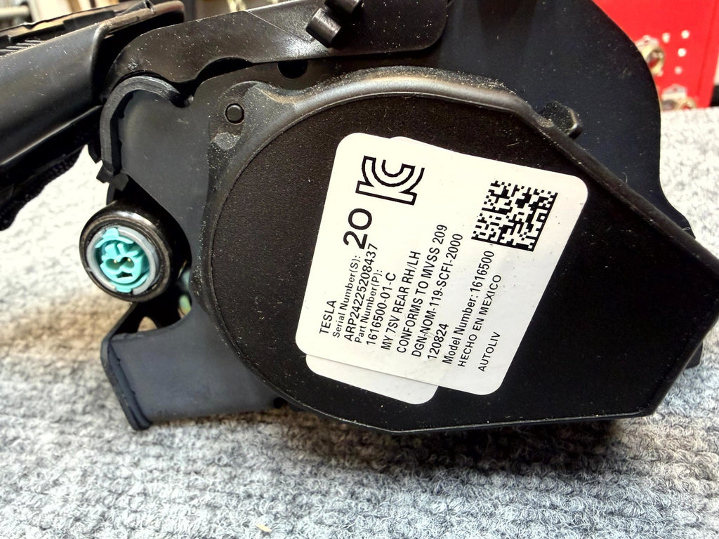 2020-2024 TESLA MODEL Y REAR LEFT DRIVER SIDE 2ND ROW SEAT BELT OEM 1616500-01-C