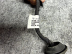 ♦️2017-2023 TESLA MODEL 3 REAR TAILGATE POWER HATCH LIFT STRUT OEM, 1551488-00-C