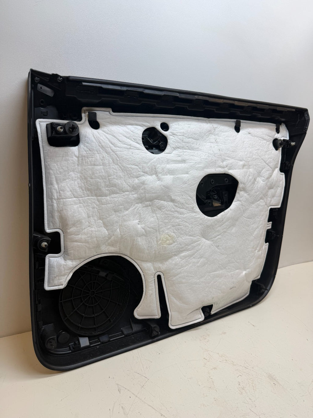 2020-2024 Tesla Model Y Front Left Door Panel Insert Black 1497294-91-B
