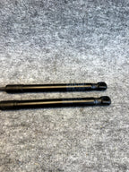 ♦️2017–2023 TESLA MODEL 3 FRONT LEFT & RIGHT HOOD SHOCK STRUT OEM, 1091472-00-B