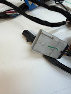 2020-2024 Tesla Model Y Left Side Main Body Wire Harness 1489041-00-E