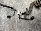 ♦️17-23 TESLA MODEL 3 REAR LEFT SIDE DOOR WIRING HARNESS CABLE OEM, 2067965-00-B