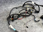 ♦️2012-2020 TESLA MODEL S REAR RIGHT DOOR WIRING HARNESS CABLE OEM, 1004426-00-Q