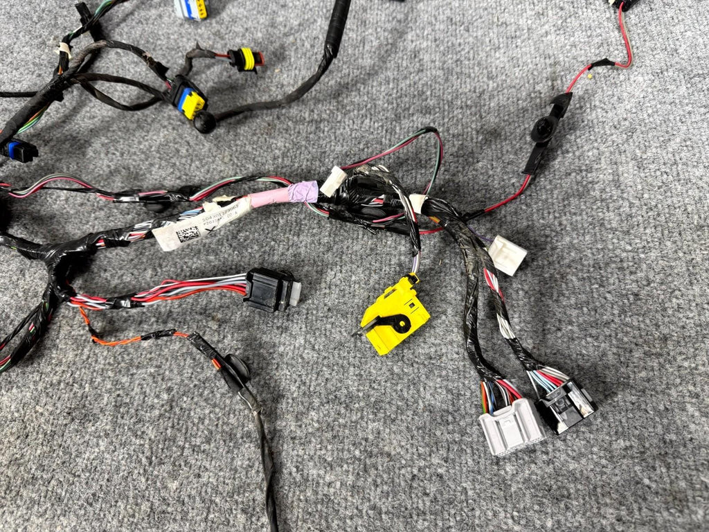 2016-2020 Tesla Model X Rear Left Side Lower Door Wiring Harness OEM, 203244100A