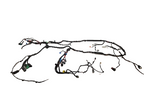 2016-2020 TESLA MODEL S FRONT MAIN BODY WIRE HARNESS OEM 1004417-01-T