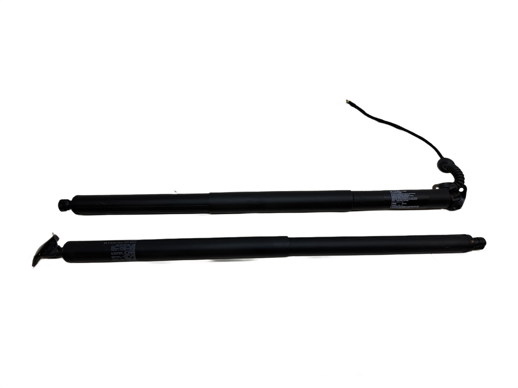 2016-2020 Tesla Model X Rear Lift Gate Struts Pair 1065664-00-A
