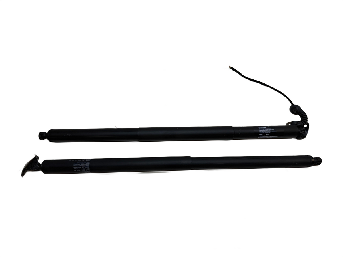2016-2020 Tesla Model X Rear Lift Gate Struts Pair 1065664-00-A