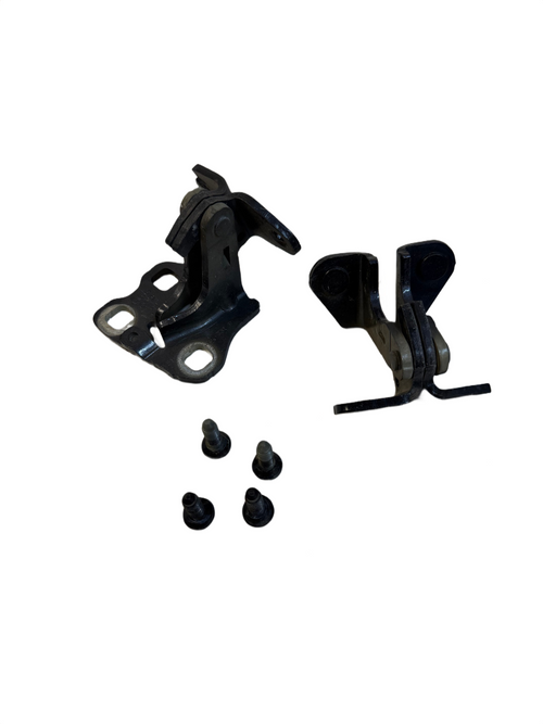 2017-2023 Tesla Model 3 Rear Left Driver Side Upper Lower Door Hinge Set