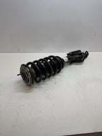 2020-2024 Tesla Model Y Front Right Passenger Shock Strut 1188368-00-E